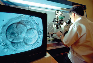 Determinarea sexului copilului in vitro